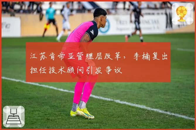 江苏肯帝亚管理层改革,李楠复出担任技术顾问引发争议